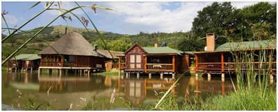 The Old Orchard