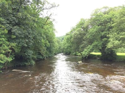 Exmoor House - Guest House