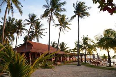 Mango Beach Resort