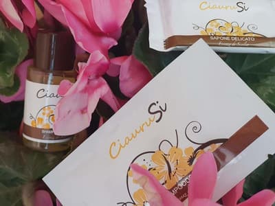 Le Terre Di San Domenico