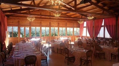 Tenuta Antico Leccio