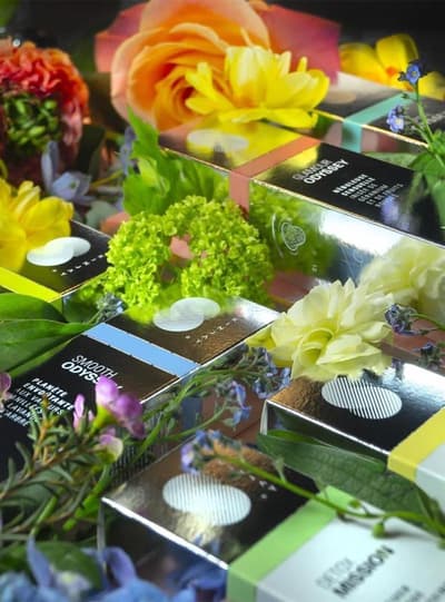 La Villa Hôtel Bien Útre