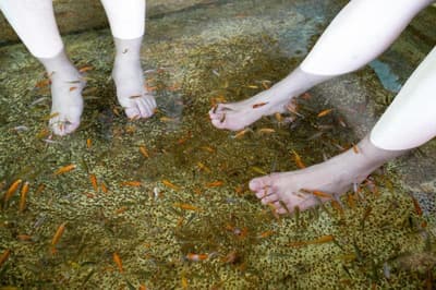 Original Spring Hotel