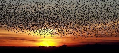 Døstrup Landevejskro & Motel