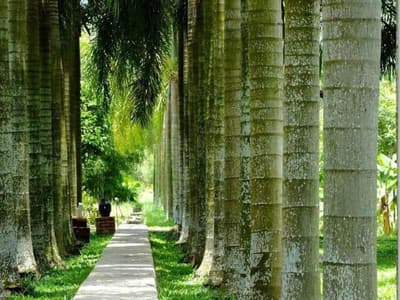 Les Hameaux de l'Orient