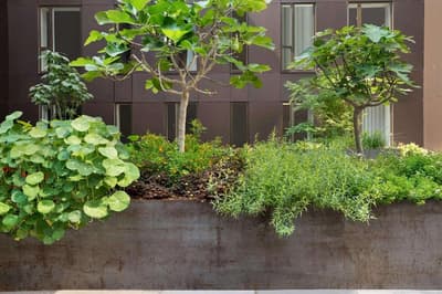 Dolce by Wyndham Comwell Copenhagen Portside