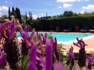 Agriturismo Cavalierino