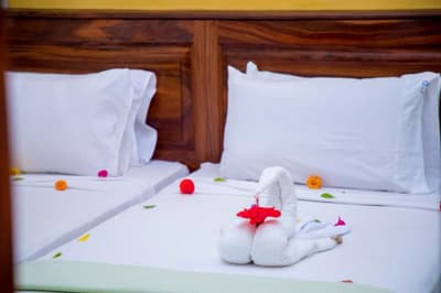 Tropic Garden Hotel