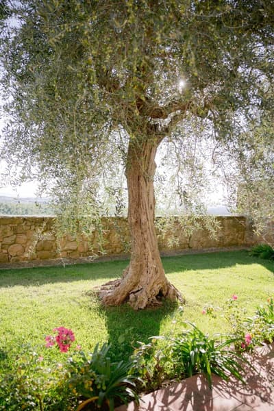Borgo Sant'Ambrogio Resort