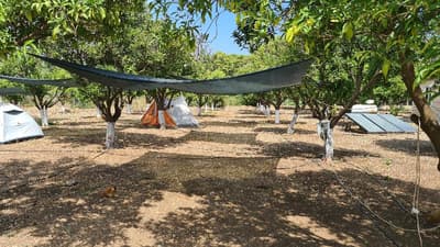 Orange Beach Camp Karavan Club