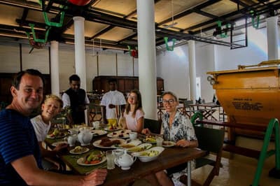 Tea & Experience Factory