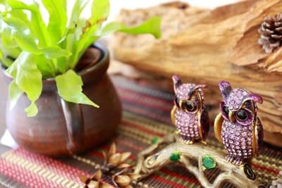 Xi Tou in Sunny Day Inn