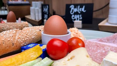 Jimmy's Apartments Dandelion