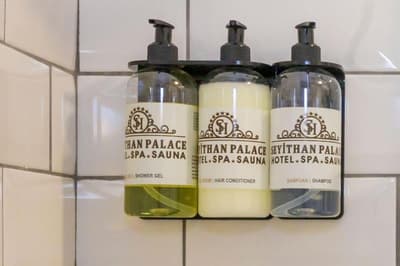 Seyithan Palace Spa Hotel