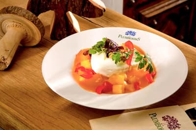 Aussichtsreich Gast- und Logierhaus