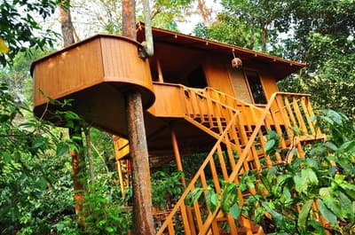 Planet Green Plantation Resort