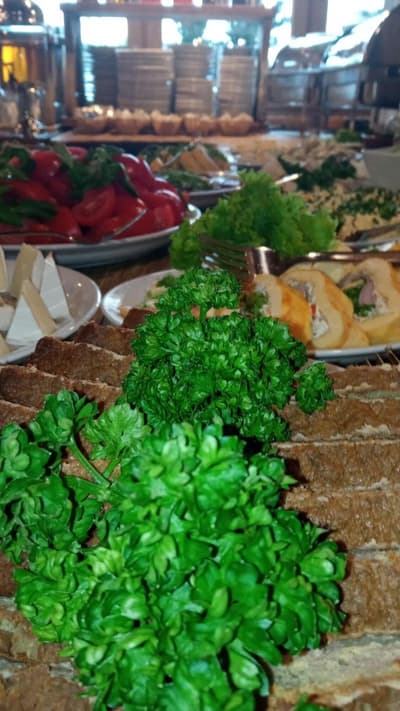 Pensjonat pod Kotelnica