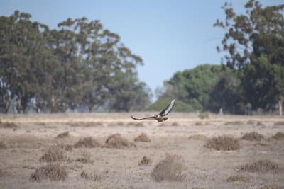 L'ermitage Quagga Lodge