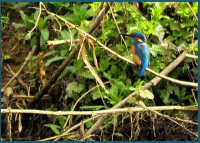 Watermeadow Lakes And Lodges
