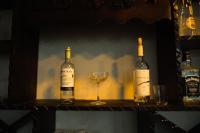 Scylax Fami̇ly Club