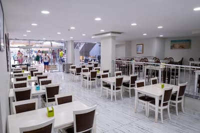 Scylax Fami̇ly Club