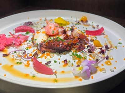 Ra Sidence Cha Teau Du Ma E