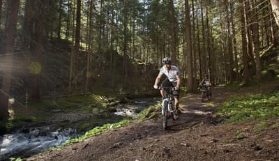 Puitalm Natur I Apart I Hotel