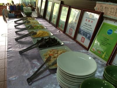 Phoenix Landscaping B B