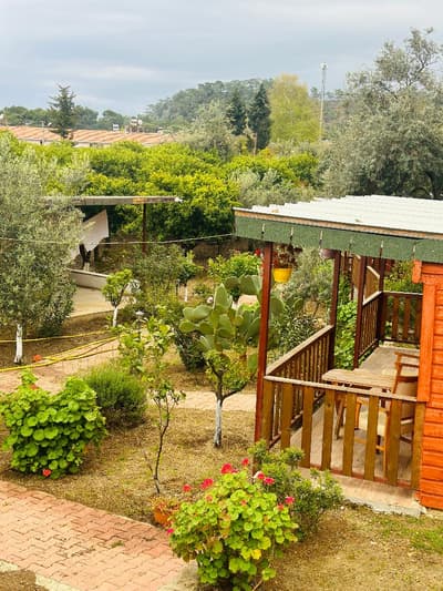 Felicity Hotel & Bungalows