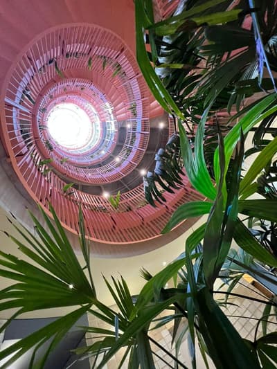 The Somos Bold Hotel