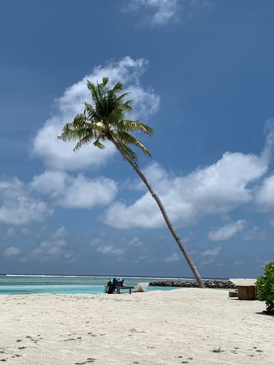 Courtyard Guesthouse