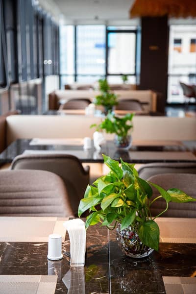 Madison Hotel Qingdao West Coast City Balcony