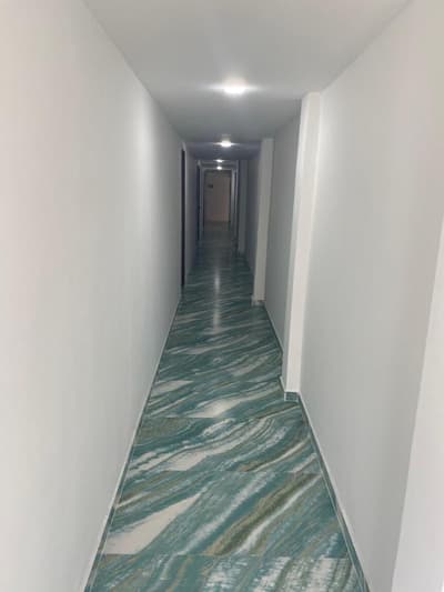 Island House Hotels