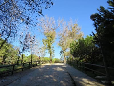 Rancho Grande (ex.Villa Costa Marbella)