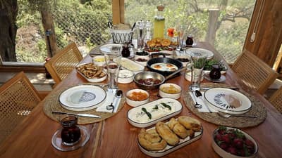 Sedir Tas Evleri / Cedar Stone House