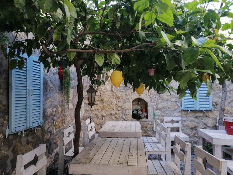 Kaktüshan  Otel