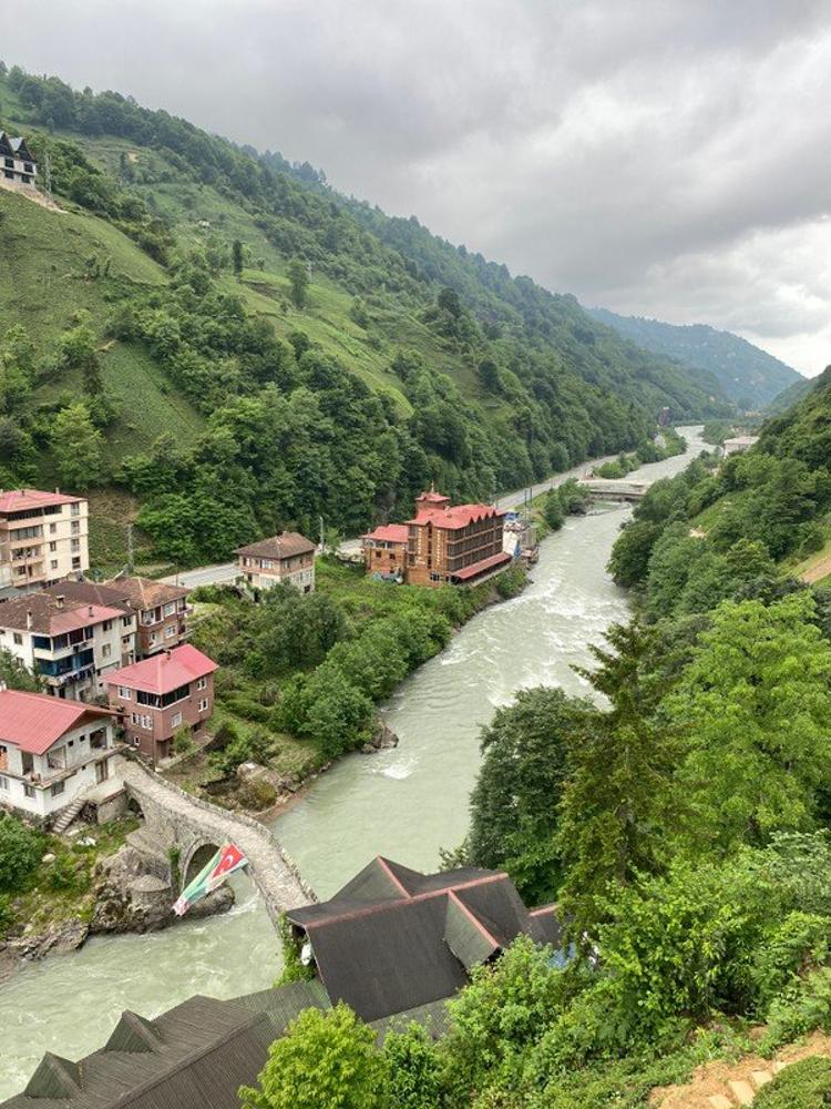 Vadidekal