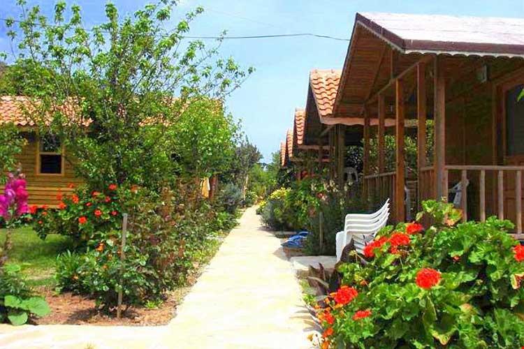 Portakal Bahçesi