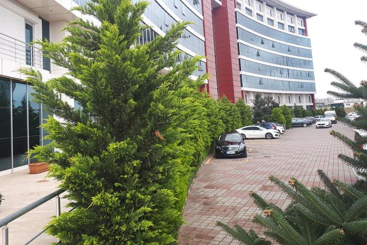 Ekinci Residence