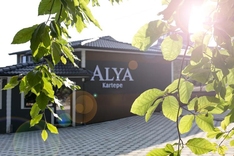 Alya Kartepe Villas