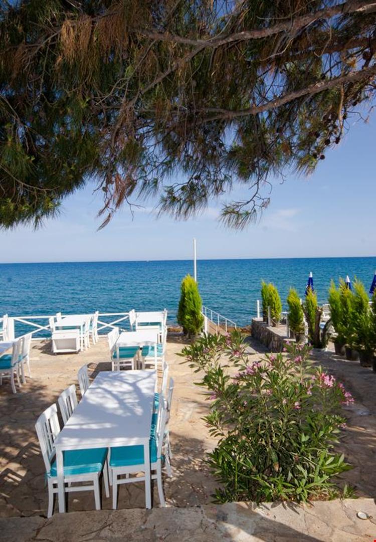 Mojo Otel Beach