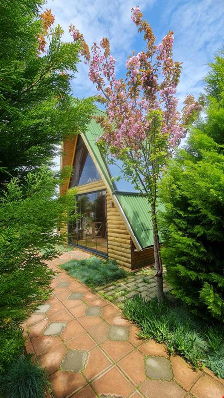 El Mundo Bungalove