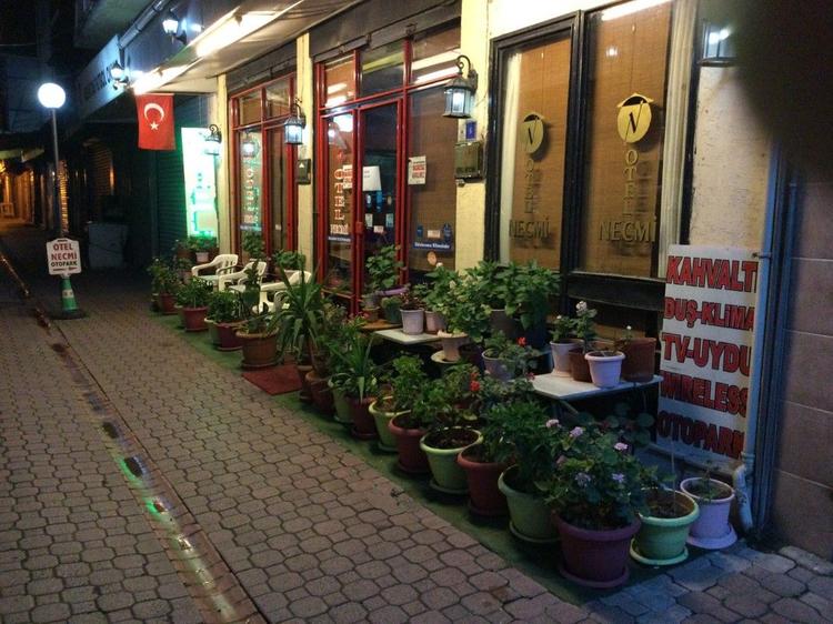 Hotel Necmi