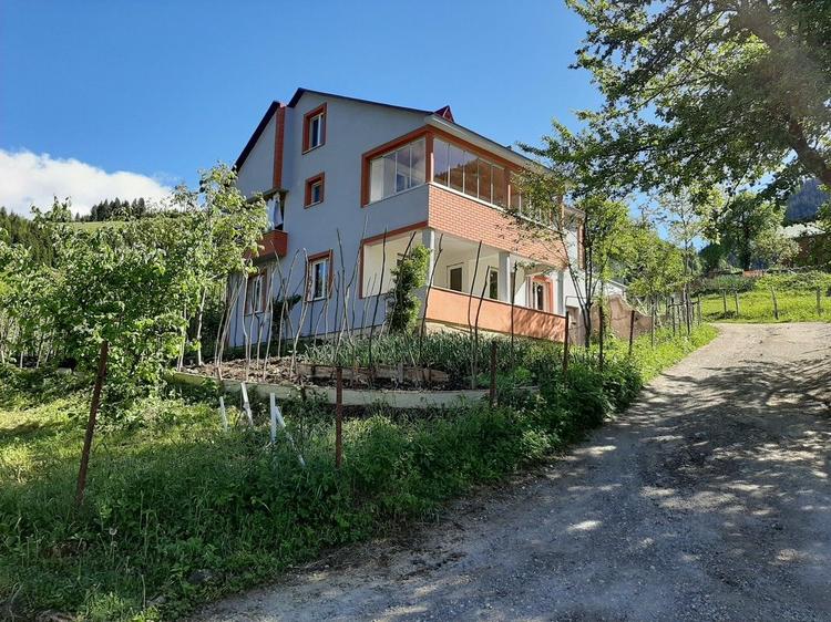 Paşanın Ali Konağı 