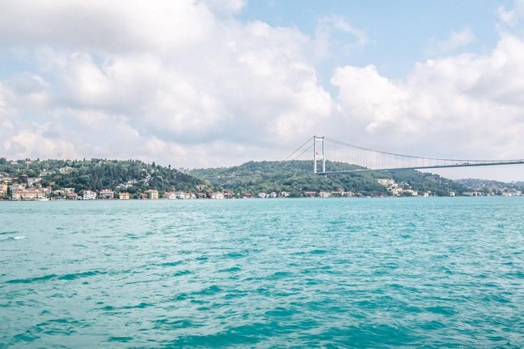 Shahmaran | Sarıyer