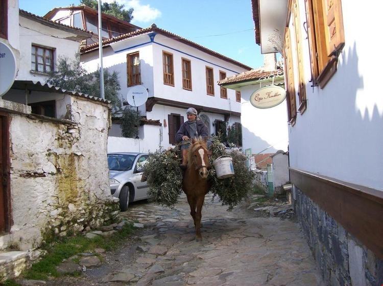 Dionysos Pansiyon & Mahzen