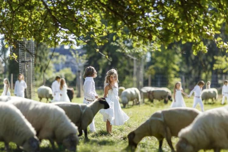 Buitenplaats Vaeshartelt