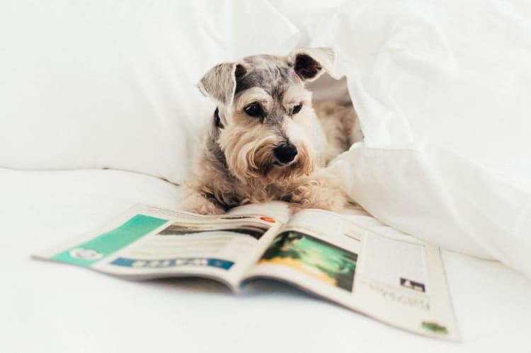 Loews Ventana Canyon Resort