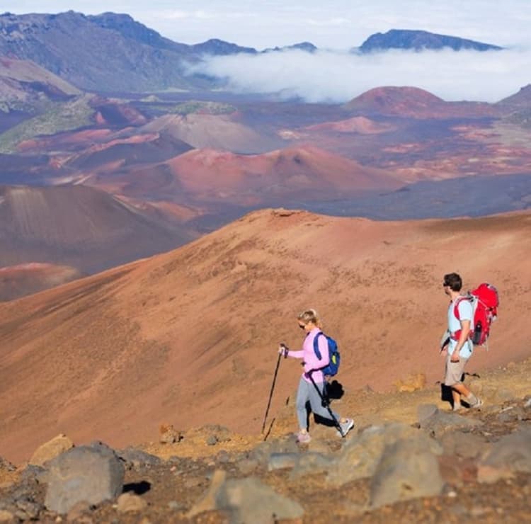 Palms at Wailea Maui
