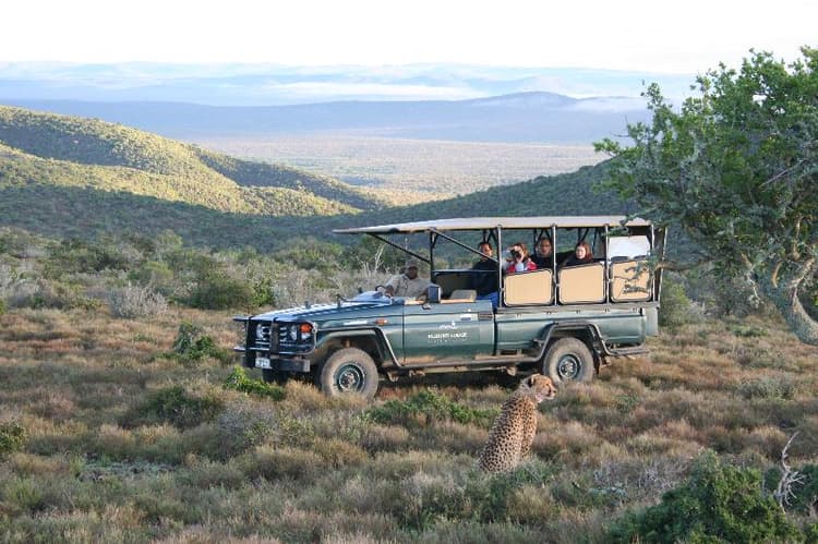 Kuzuko Lodge